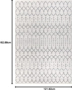 Bohemian Rug Classic 4x6 White and Grey Area Carpet