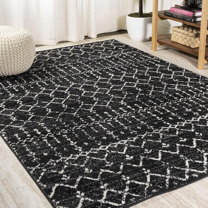 Bohemian Rug Classic 4x6 Black and White Area Carpet