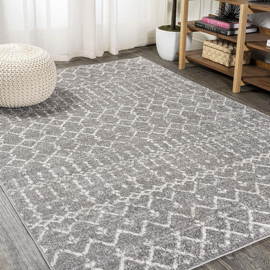 Bohemian Rug Classic 4x6 Grey and White Area Carpet
