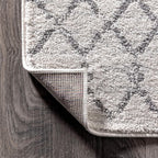 Bohemian Rug Classic 4x6 White and Grey Area Carpet