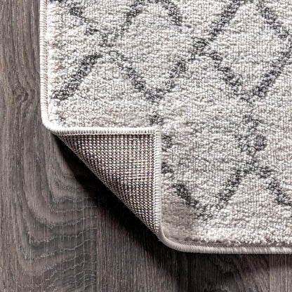 Bohemian Rug Classic 4x6 White and Grey Area Carpet