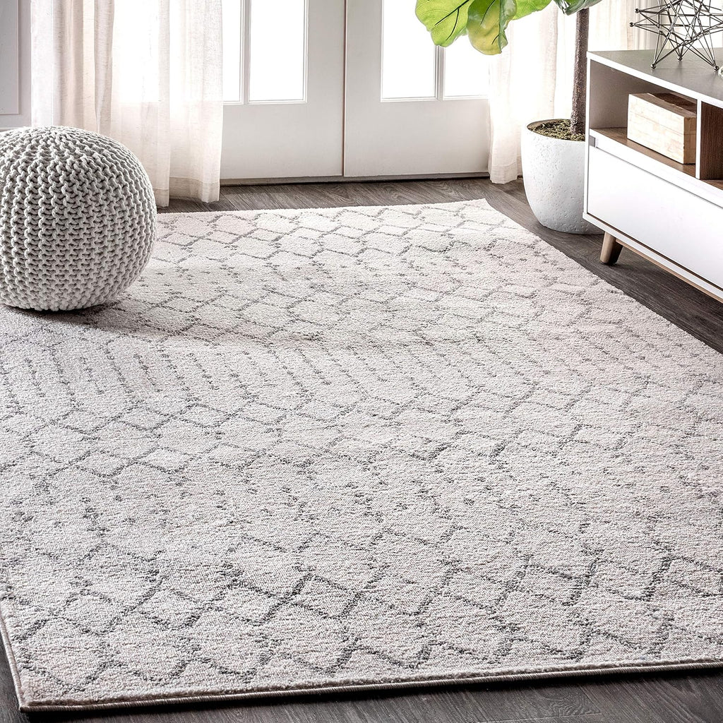 Bohemian Rug Classic 4x6 White and Grey Area Carpet