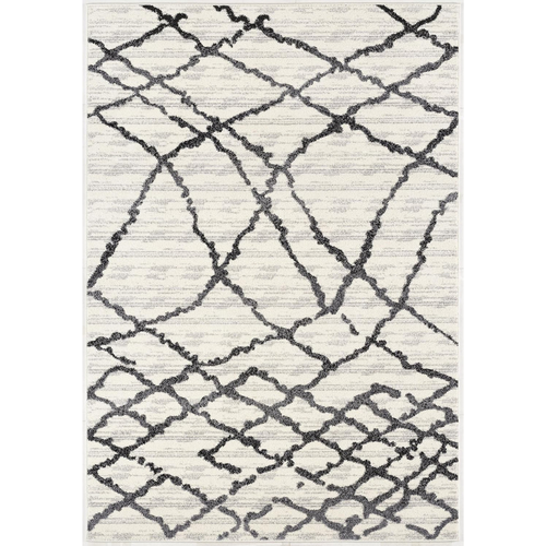 Modern Abstract Rug 4x6 White Grey Boho Modern  Living Room Kitchen and Bedroom Area Rug