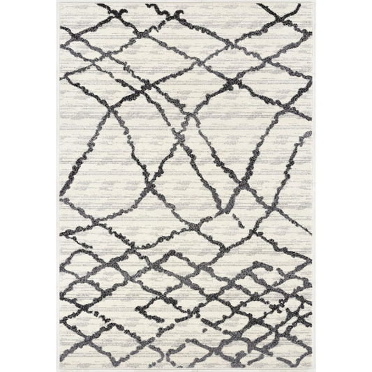 Modern Abstract Rug 4x6 White Grey Boho Modern  Living Room Kitchen and Bedroom Area Rug