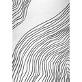 Artist Collection - Area Rug Boho White Black Living Room Rug - brch-00107