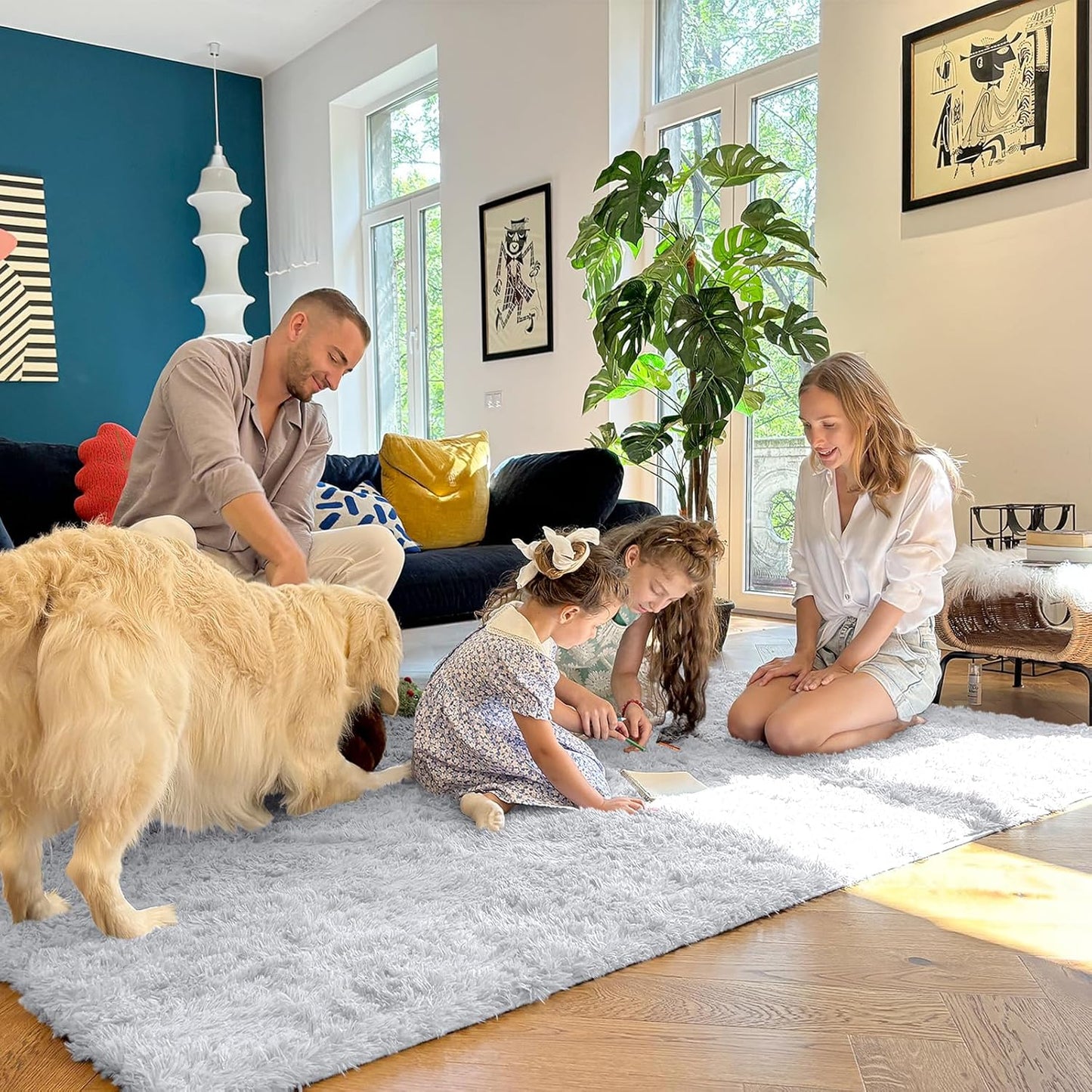 Rugsco Shag Rug Selection, Fluffy, Cozy & Machine Washable - rgc003